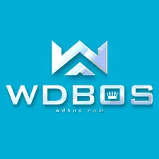 WDBOS - Petualangan Menegangkan dalam Game TPS